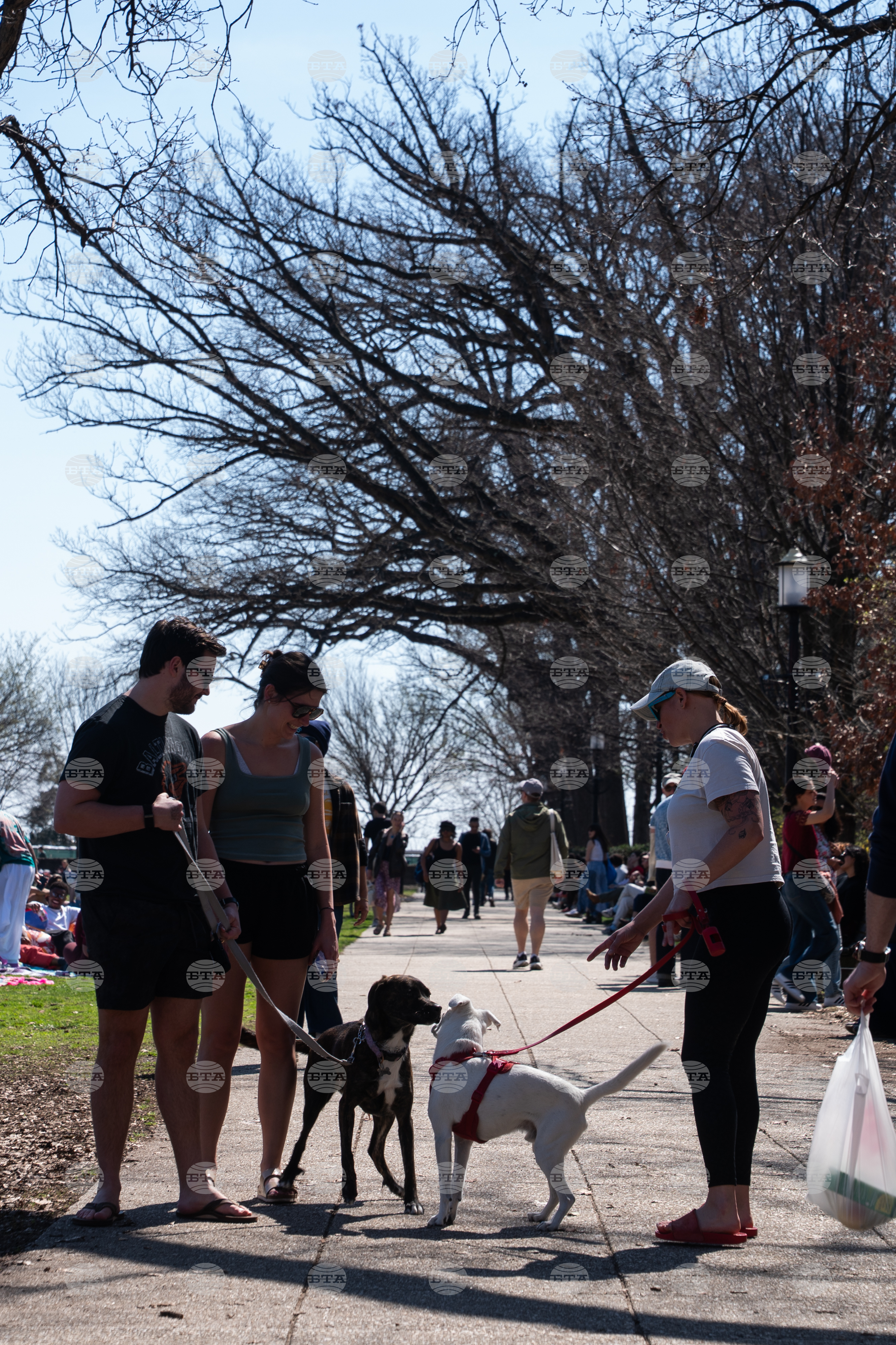 Meridian Hill Park