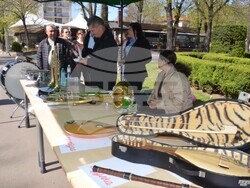 Снимка: Община Видин