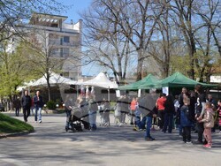 Снимка: Община Видин