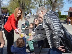 Снимка: Община Видин