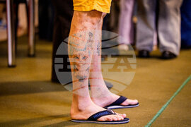 Romania International Cat Show