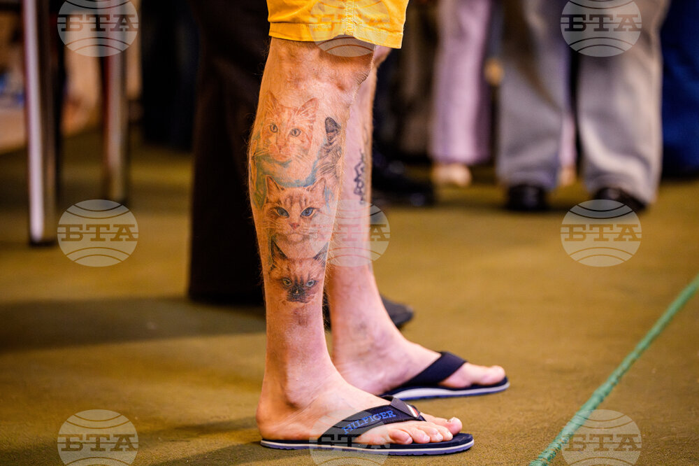 Romania International Cat Show