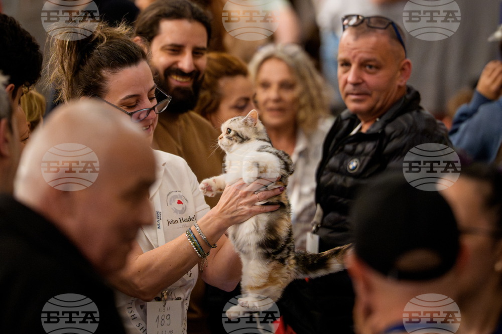 Romania International Cat Show