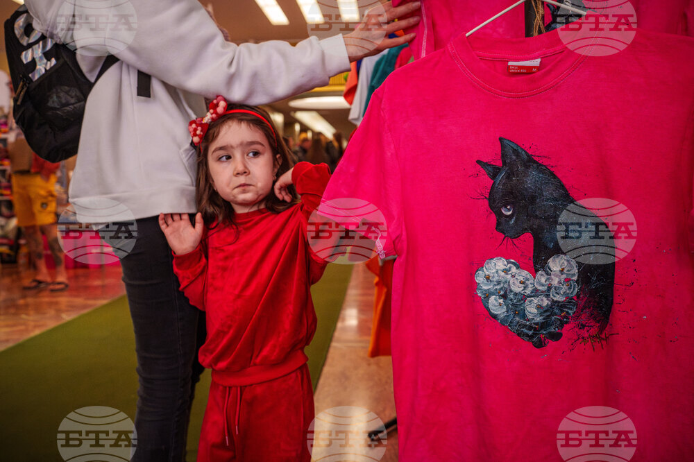 Romania International Cat Show