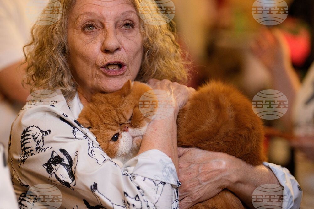 Romania International Cat Show