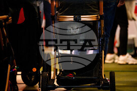 Romania International Cat Show