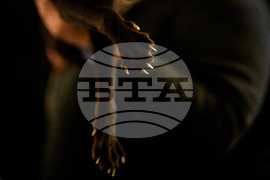 Romania International Cat Show