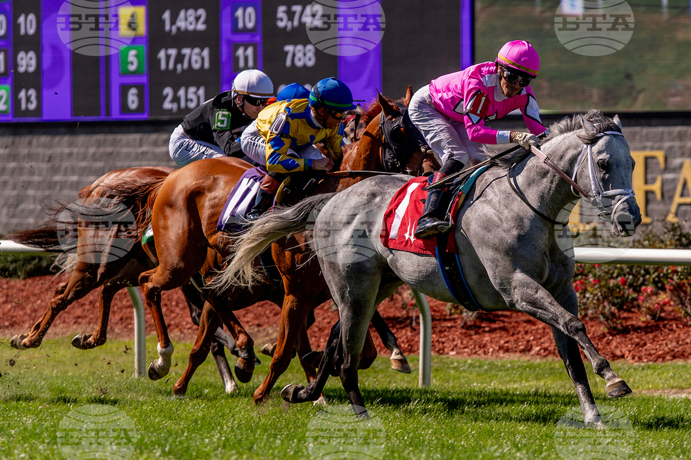 Fair Grounds Horse Racing