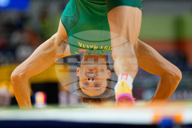 Poland World Indoor Athletics