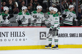 Stars Wild Hockey