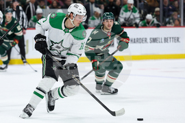 Stars Wild Hockey