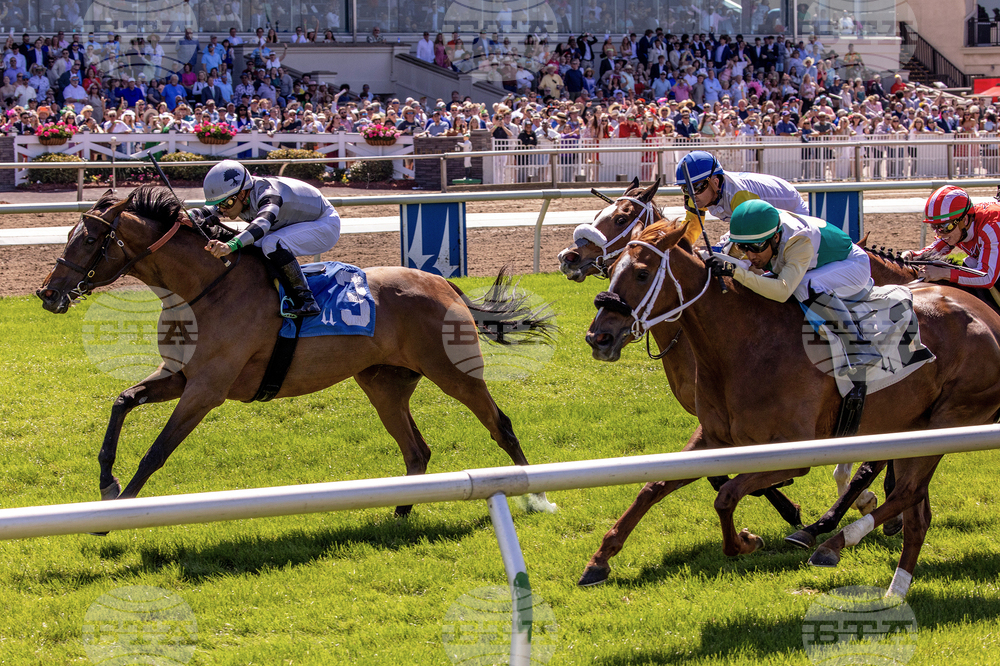 Fair Grounds Horse Racing