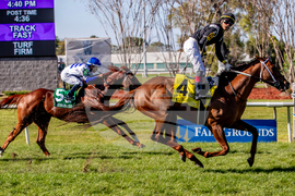 Fair Grounds Horse Racing