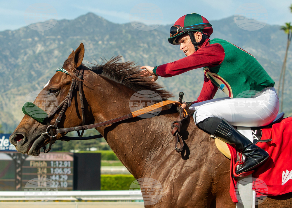 Santa Anita Horse Racing