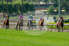 Santa Anita Horse Racing