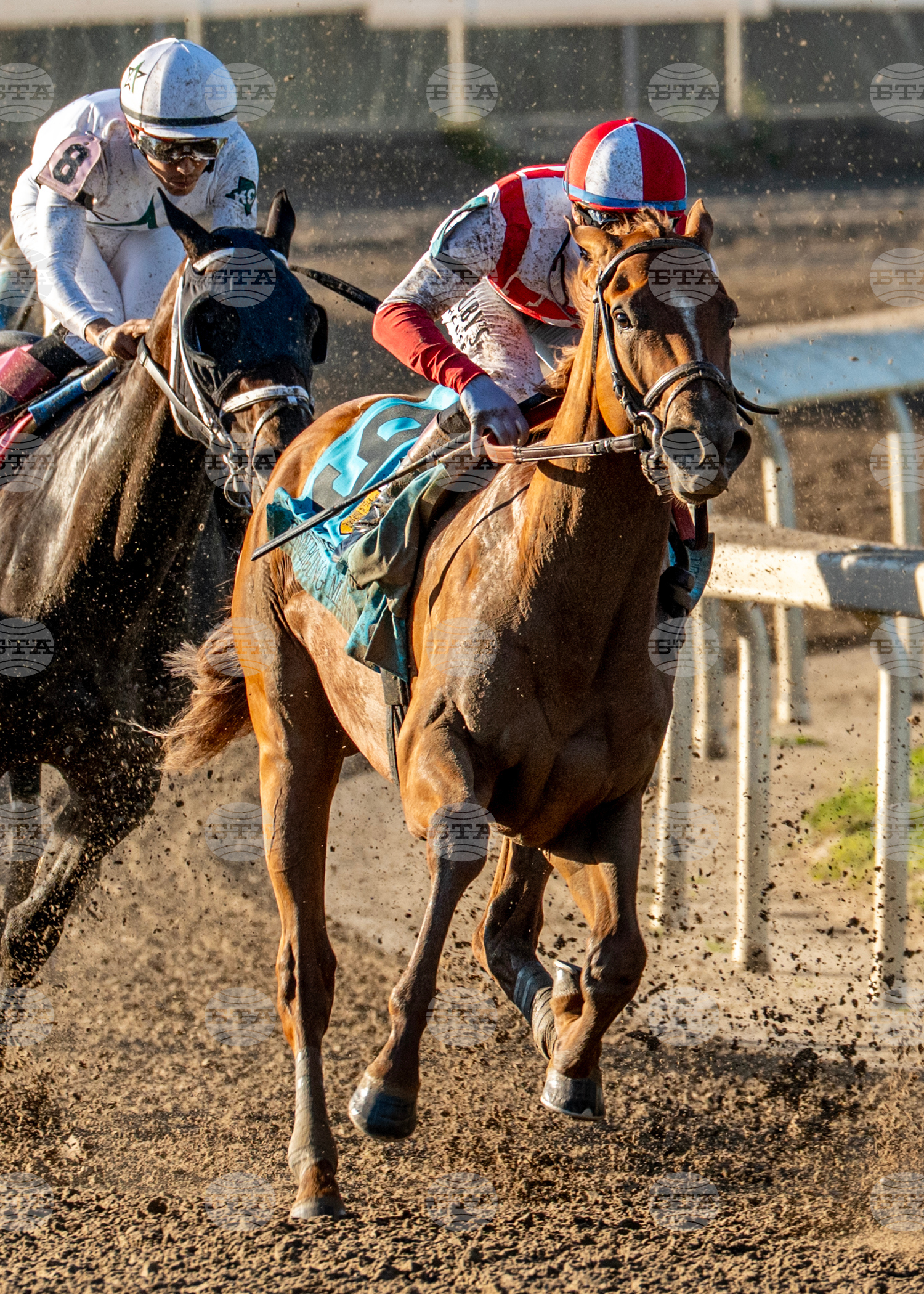 Louisiana Derby Horse Racing