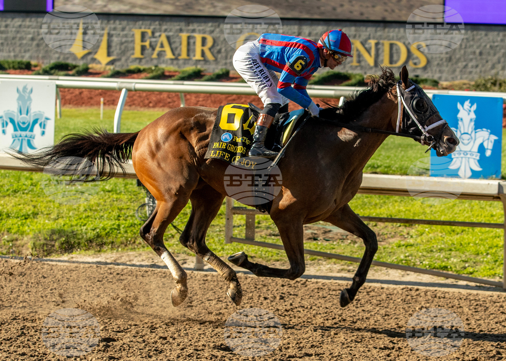 Fair Grounds Horse Racing