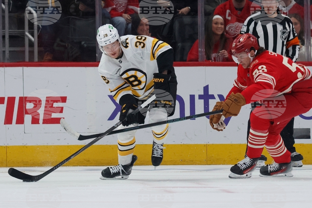 Bruins Red Wings Hockey