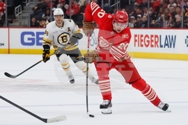 Bruins Red Wings Hockey