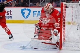 Bruins Red Wings Hockey