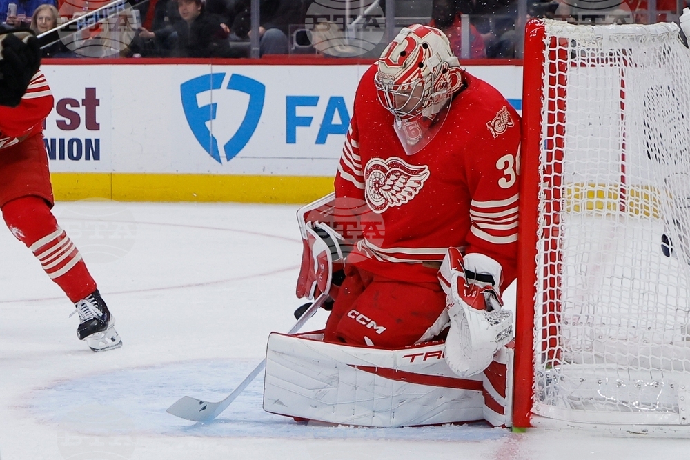 Bruins Red Wings Hockey