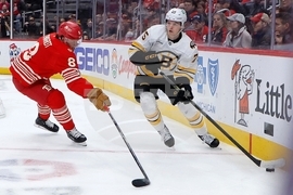 Bruins Red Wings Hockey
