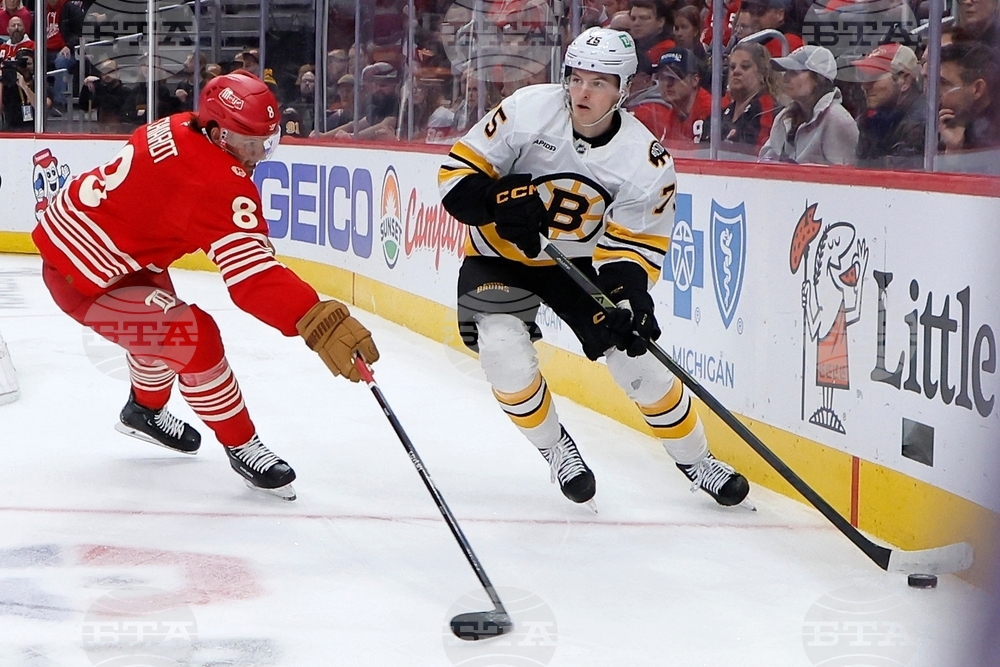 Bruins Red Wings Hockey