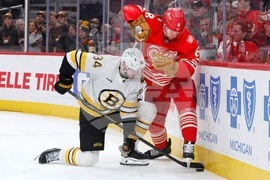 Bruins Red Wings Hockey