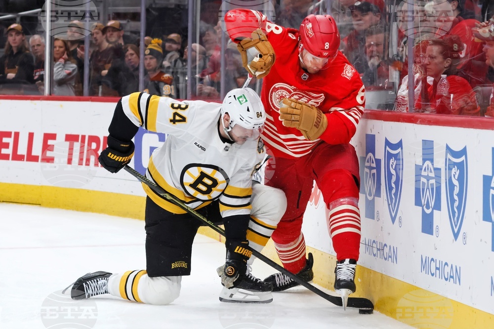 Bruins Red Wings Hockey