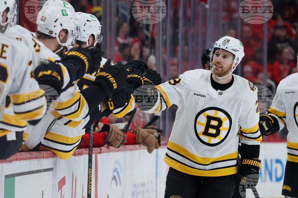 Bruins Red Wings Hockey