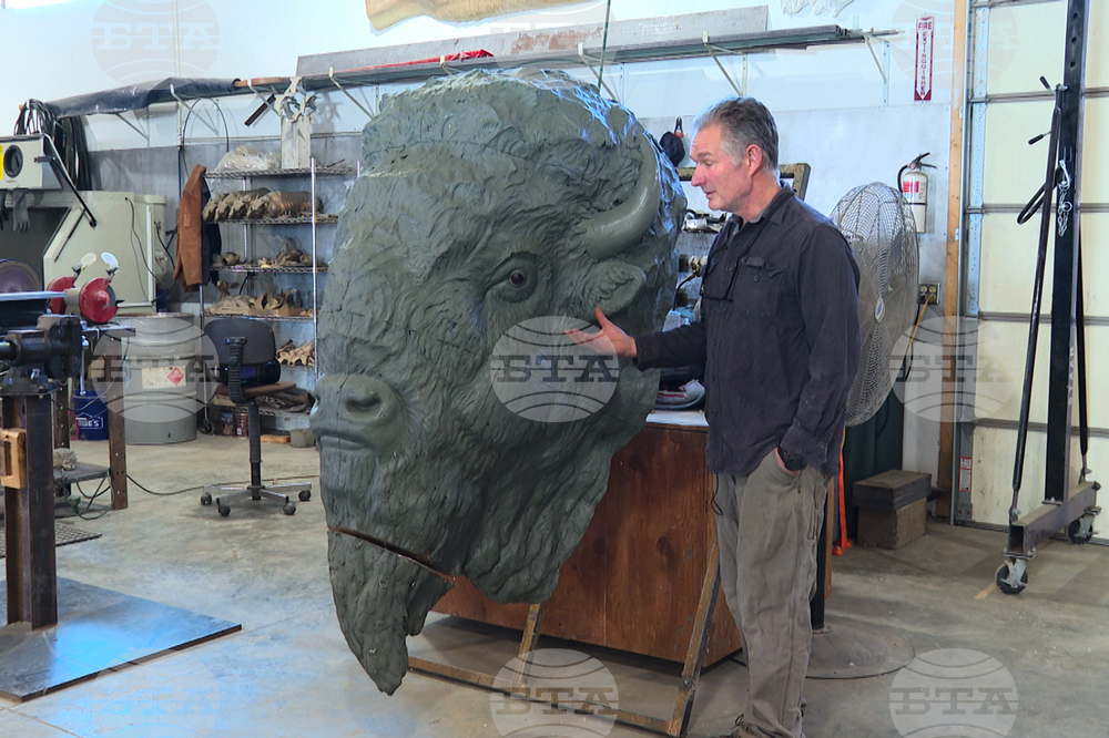 America 250 Bison Statues