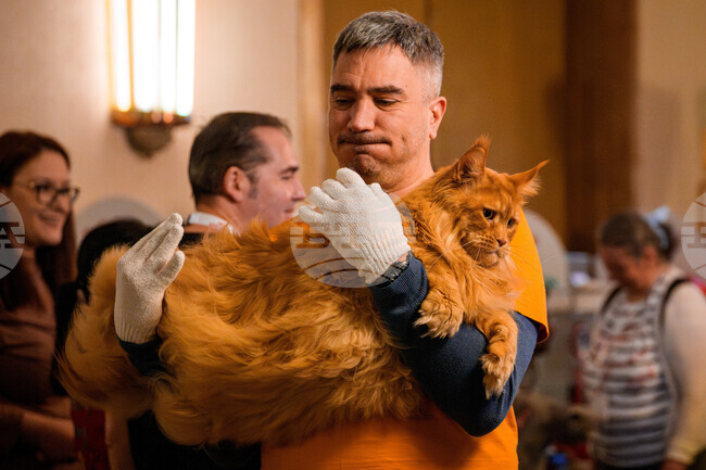 APTOPIX Romania International Cat Show