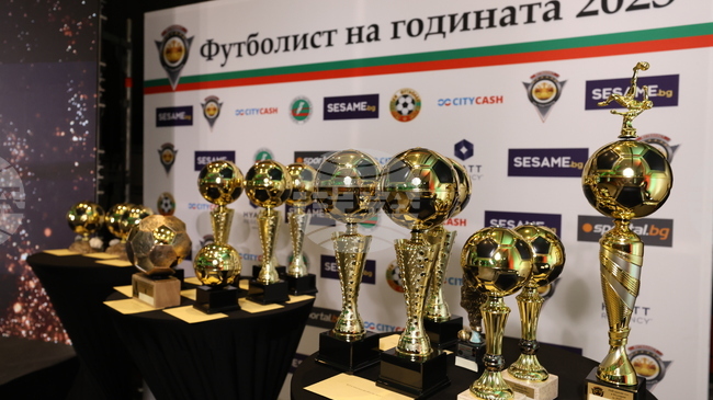 Всички победители в анкетата "Футболист на годината"