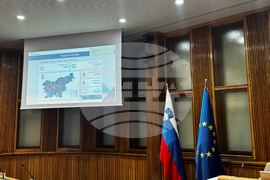 Словения - парламентарни избори - избирателна активност