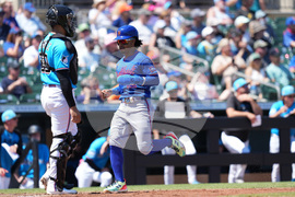 Mets Marlins Spring Baseball