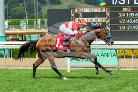 Santa Anita Horse Racing