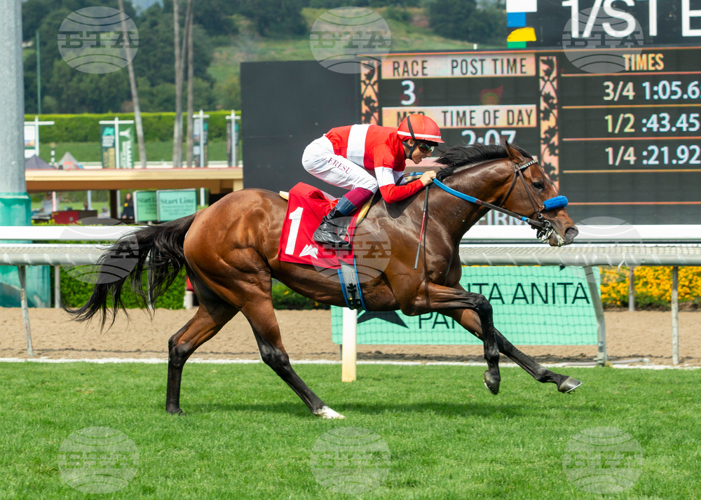 Santa Anita Horse Racing