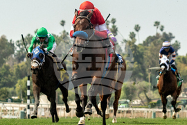 Santa Anita Horse Racing