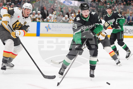 Golden Knights Stars Hockey