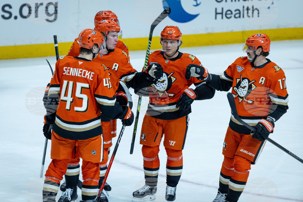 Sabres Ducks Hockey