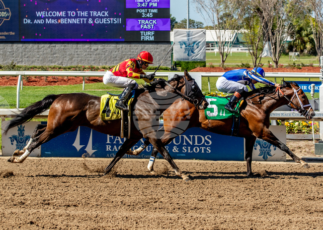 Fair Grounds Horse Racing