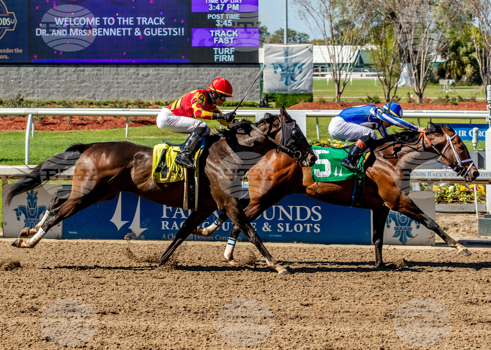 Fair Grounds Horse Racing