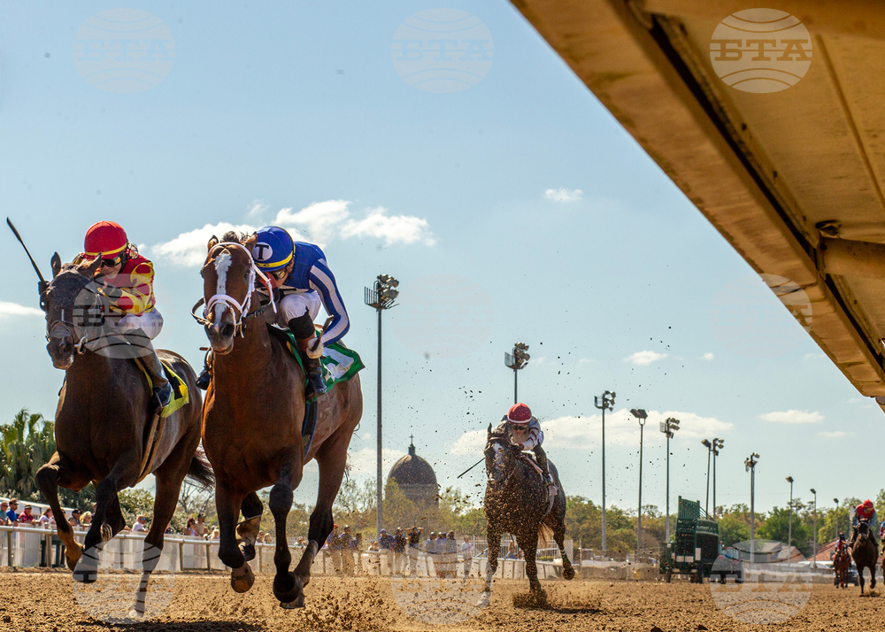 Fair Grounds Horse Racing