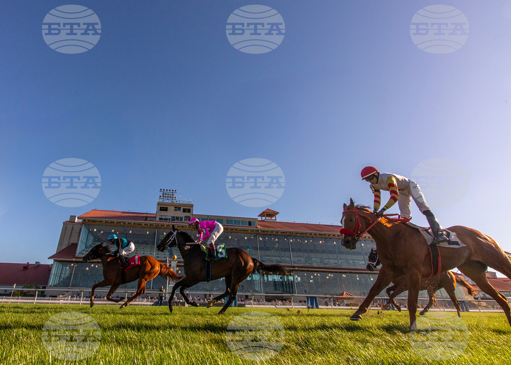 Fair Grounds Horse Racing