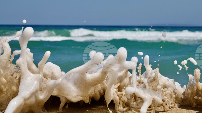 Изложбата „Бяла в пейзажи“ за четвърти път представя красотата на крайморския град през погледа на фотографи