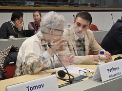 Брюксел - Европейски граждански панел - готовност