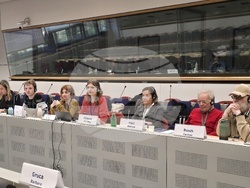 Брюксел - Европейски граждански панел - готовност