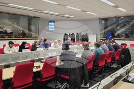 Брюксел - Европейски граждански панел - готовност