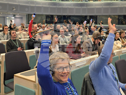 Брюксел - Европейски граждански панел - готовност