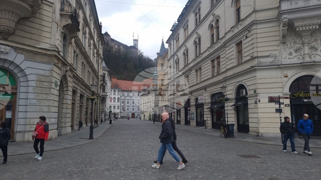 Управляващата партия "Движение Свобода" печели парламентарните избори в Словения "на косъм", пишат местните медии